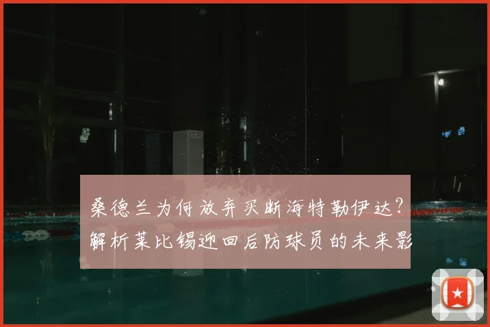 桑德兰为何放弃买断海特勒伊达?解析莱比锡迎回后防球员的未来影响