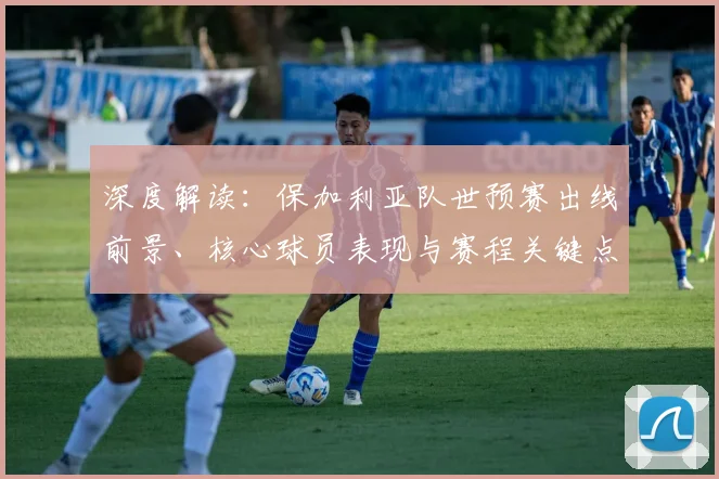 深度解读：保加利亚队世预赛出线前景、核心球员表现与赛程关键点分析