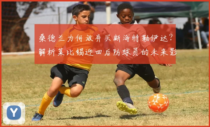 桑德兰为何放弃买断海特勒伊达？解析莱比锡迎回后防球员的未来影响